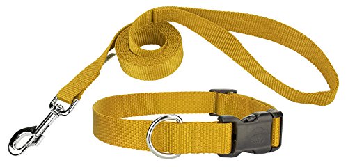Country Brook Design 3/4 Inch Deluxe Nylon Dog Collar and Leash - Gold - Small