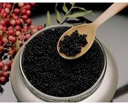 Black Capelin Caviar 'Malossol' 12.00 oz. / 340 gr.