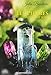 Les pierres au quotidien (ALLIANCE MAGIQUE) (French Edition) by 