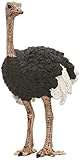 Schleich Ostrich Figurine Toy Figure