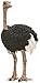 Schleich Ostrich Figurine Toy Figure