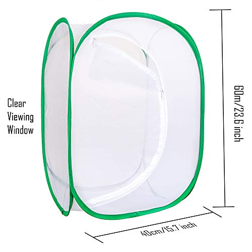 2 Pllieay+Butterfly+Collapsible+Light+transmitting+Activities
