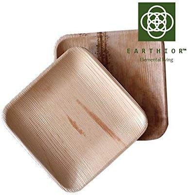 Set of 10 Square 8'' Eco Appetizer Plates Disposable & Multi-use Party Plates