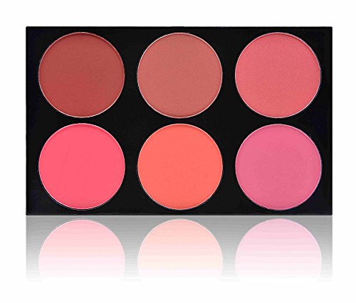 SHANY Masterpiece 6 Colors Large Blush Palette/Refill - "SHE'S NOT SHY"