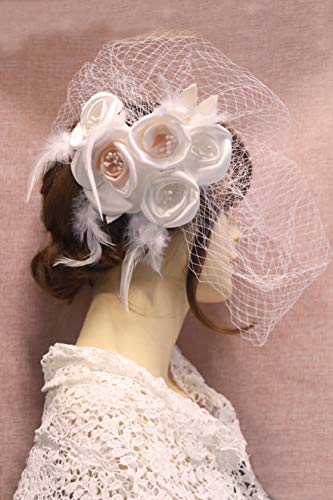 Kercisbeauty Wedding Bridal Flower Face Birdcage Single Layer Lace Champagne White Veil Drop with Hair Comb Chapel Dancing Prom Halloween Custom Hair Accessories