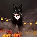 PAWCHIE 2 Pack Halloween Cat Collars with Bell Adjustable Breakaway Cat Collar with Pumpkin Bat Pattern for Halloween Party