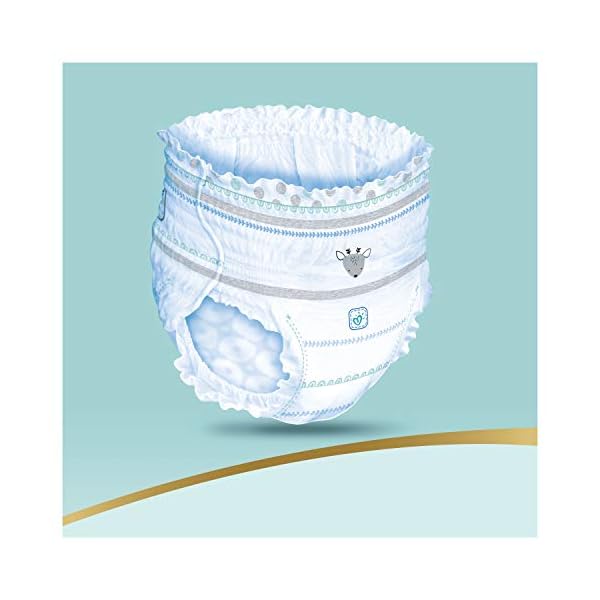 pampers premium pants size 4