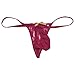 YiZYiF Men's Jacquard Lace See-Through Sissy Pouch Underwear (Wine Red, Medium)