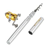 LIXIANGNAN Mini Portable Pocket Fish Rod Pen Aluminum Alloy Fishing Rod Pole Reel Combos (Silver)