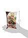 MyKuali Penang White Curry Noodle (4 Packs)
