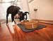 ORE Pet Skinny Recycled Rubber Rectangle Pet Placemat - Black