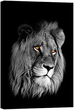 LightFairy Glow in the Dark Canvas Painting - Stretched and Framed Giclee Wall Art Print - Animals Nature Lion Head - Master Bedroom Living Room Decor - 6 Hours Glow - 24 x 36 inch