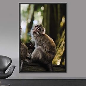 signwin Framed Canvas Wall Art Monkey Animals Expressive...