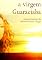 Livro A virgem guaraciaba (romance histórico)