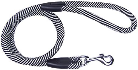 SimplyWag Premium Nylon 4' Long Shock Absorbent Braided Cord Rope Leash in Assorted Colors and Styles