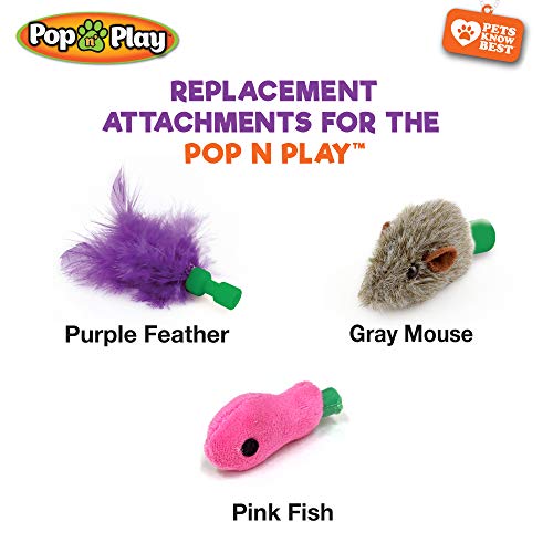 pop n play cat toy amazon