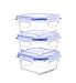 Kinetic 6 Piece Glassworks Elements Square Food Storage Set with Vented Lids, Clear