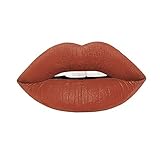 Silvercell Long Lasting Matte Stain Lipstick Lip Gloss Lip Glaze Makeup 14 Colors