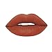 Silvercell Long Lasting Matte Stain Lipstick Lip Gloss Lip Glaze Makeup 14 Colors