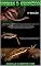 Livro Cobras e Serpentes Vol 8 (Cobras e Serpentes Vol 1)