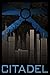 (24x36) The Citadel Retro Travel Poster