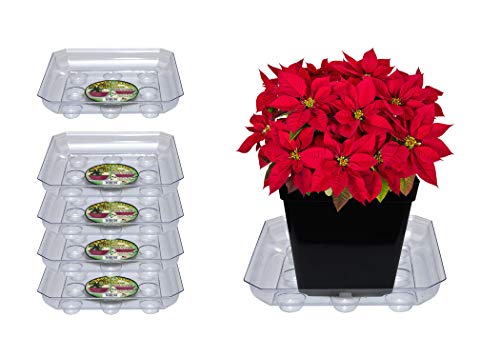 Curtis Wagner Plastics SQDS-1000 Carpet Saver Plant Tray Drip Pans (5-Pack) – Clear, Square (Diameter = 10″ top, 7.75″ Bottom, 1.62″ Depth) Thick Plastic Indoor & Garden – Clear, Black & Terracotta