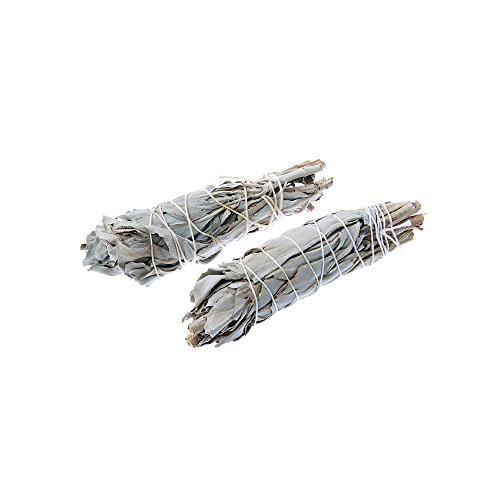 Native American Indian White Sage 4" Bulb Smudge Stick - Cleansing & Purification Wand