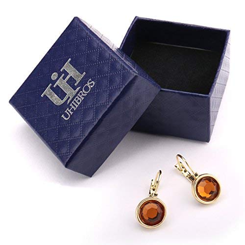 Leverback Dangle Earrings,UHIBROS Stainless Steel Cubic Zirconia Round Drop Earrings