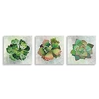 3Piece Canvas Wall Art - Succulent Plant - Canvas Prints Home Artwork Decoration for Living Room,Bedroom - 12