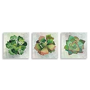 3Piece Canvas Wall Art - Succulent Plant - Canvas Prints Home Artwork Decoration for Living Room,Bedroom - 12"x12"x3 Panels