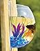 Bellagione Wall Hanging Fish Bowl Fish Tank Water Plant Vase Mini Bubble Aquarium for Home Decoration