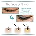 Eyelash Growth Serum - Eyelash and Brow Growth Treatment For Lashes - 5mL Eyelash Formula by FabuLash