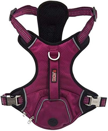 kong harness with pouch