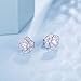 Van Chloe Women 925 Sterling Silver Love Rose Flower Stud Earrings White Gold Plated CZ Diamond Earrings Studs for Women Girls