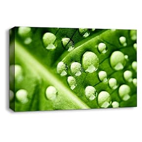 Canvas Wall Art Leaf Veins Pictures Home Wall Decorations for Bedroom Living Room Paintings Canvas Prints Framed - 12x18 inches