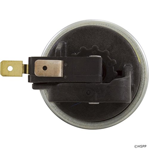 Raypak Pressure Switch, Versa/Gemini/RP2100