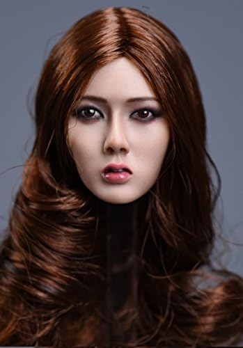 Amazon 1 6 フィギュア 用 アクセサリー フィメール アジアン美人 ブラウンロングヘア 秀 Cタイプ ヘッド ドールメイキング 通販