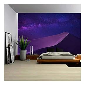 Man Looking Milky Way in Desert - Removable Wall Mural | Self-Adhesive Large Wallpaper - 66x96 inches