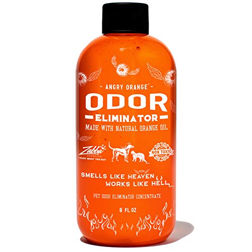 Angry orange cat urine Outlet