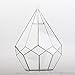 NCYP Silver Hanging Glass Geometric Terrarium, 6.8 x 6.8 x 8.6 Inches Teardrops Shape Display Planter for Succulent Air Plants, Indoor Decor Flower Holder, Handmade (NO Plants)