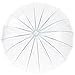 Kung Fu Smith Auto Open Clear Umbrella for Rain Wedding Photography, Large Canopy Wedding Umbrellas for Bride and Groom