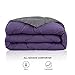 Comfort Spaces Vixie Reversible Comforter Set - Trendy Casual Geometric Quilted Cover, All Season Down Alternative Cozy Bedding, Matching Sham, Purple/Charcoal, Twin/Twin XL 2 piece