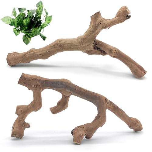 VCEPJH Grape Wood Branch