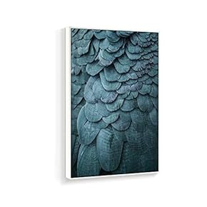 Framed Canvas Wall Art for Living Room, Bedroom Beautiful Features Canvas Prints for Home Decoration Ready to Hanging - 16x24 inches