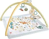 Fisher-Price Simply Senses Newborn Gym Playmat with Mobile Toy Arch view 11