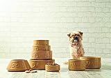 Mason Cash Cane Water Bowl 20cm Large Stoneware Pet Bowl 2.4 Litre view 2