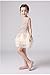 Little Toddler Flower Girl Dress for Wedding Prom Party Short Champagne Tulle Hollow Flower Girls Dresses (Champagne, 4)