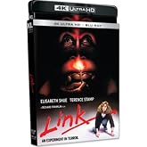 Link (4KUHD)