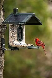 FeatherSnap Scout Wi-Fi Solar Powered Smart Bird