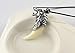 Pooqdo (TM) Fashional Wolf Tooth Necklace Steel Domineering Pendant for Men